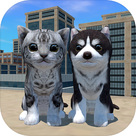 Cute Cat And Puppy World