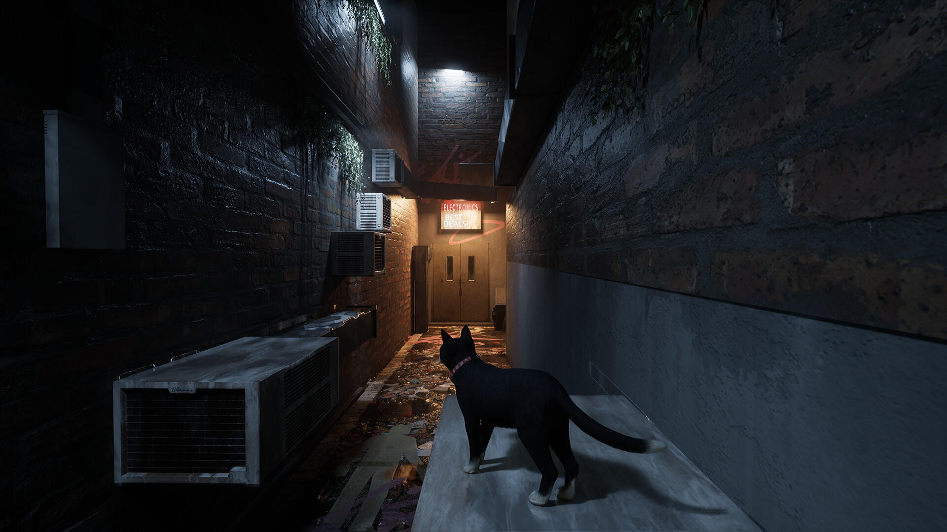 Screenshot of Project Paws