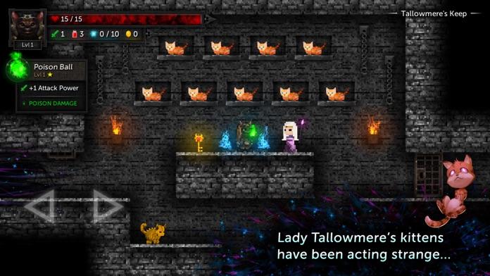 Tallowmere 2 Game Screenshot