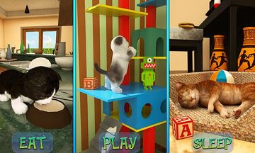 Cute Cat Adventure 2016 Game Screenshot