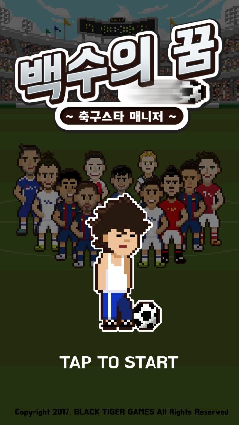 Screenshot of Making Soccer Star