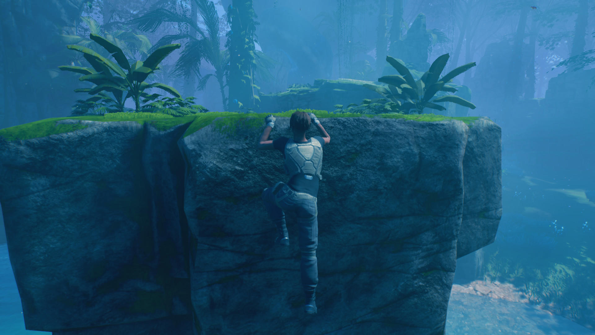 Screenshot of Wild Life