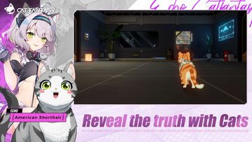 Cat Fantasy:PH Game Screenshot