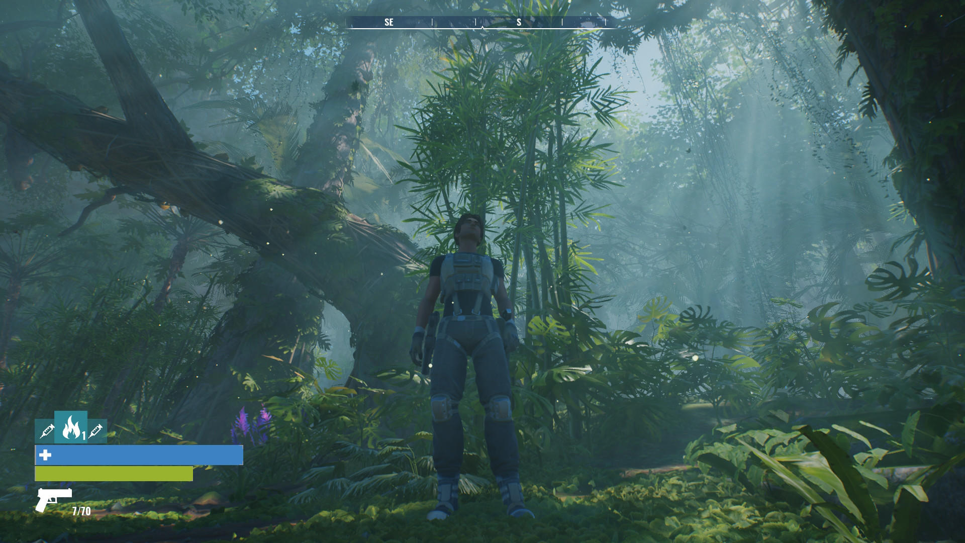 Screenshot of Wild Life