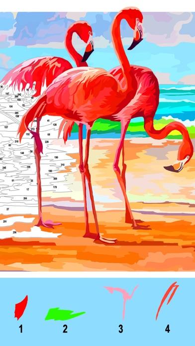 Color by Number for adults Game Screenshot