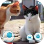 My Street Cat Kitten Life 3d