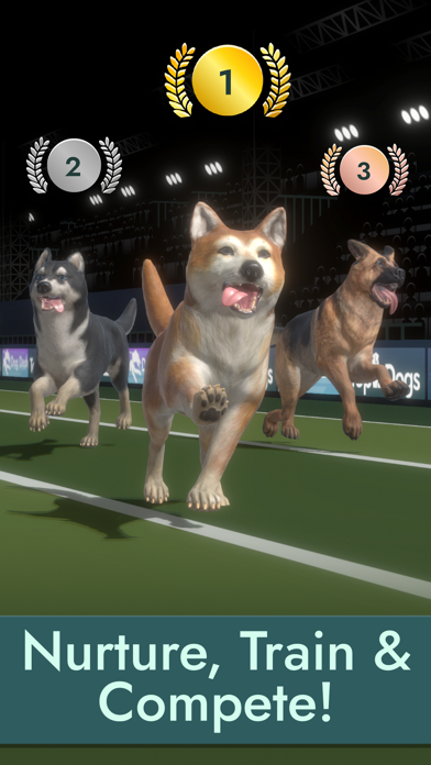 Top Dogs: Best in Show Game Screenshot