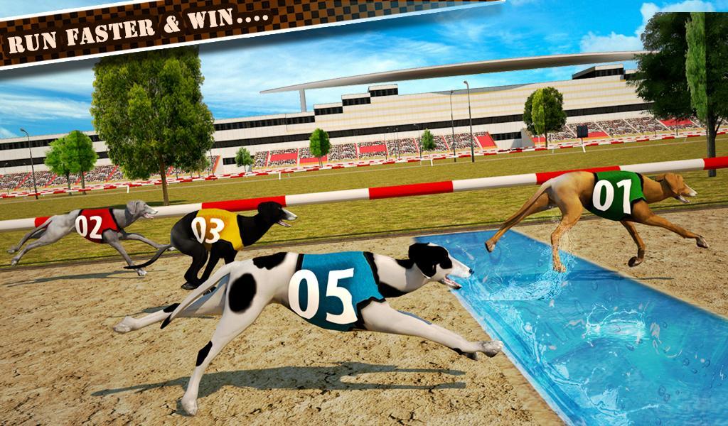 Dog Race & Stunts 2016 Game Screenshot