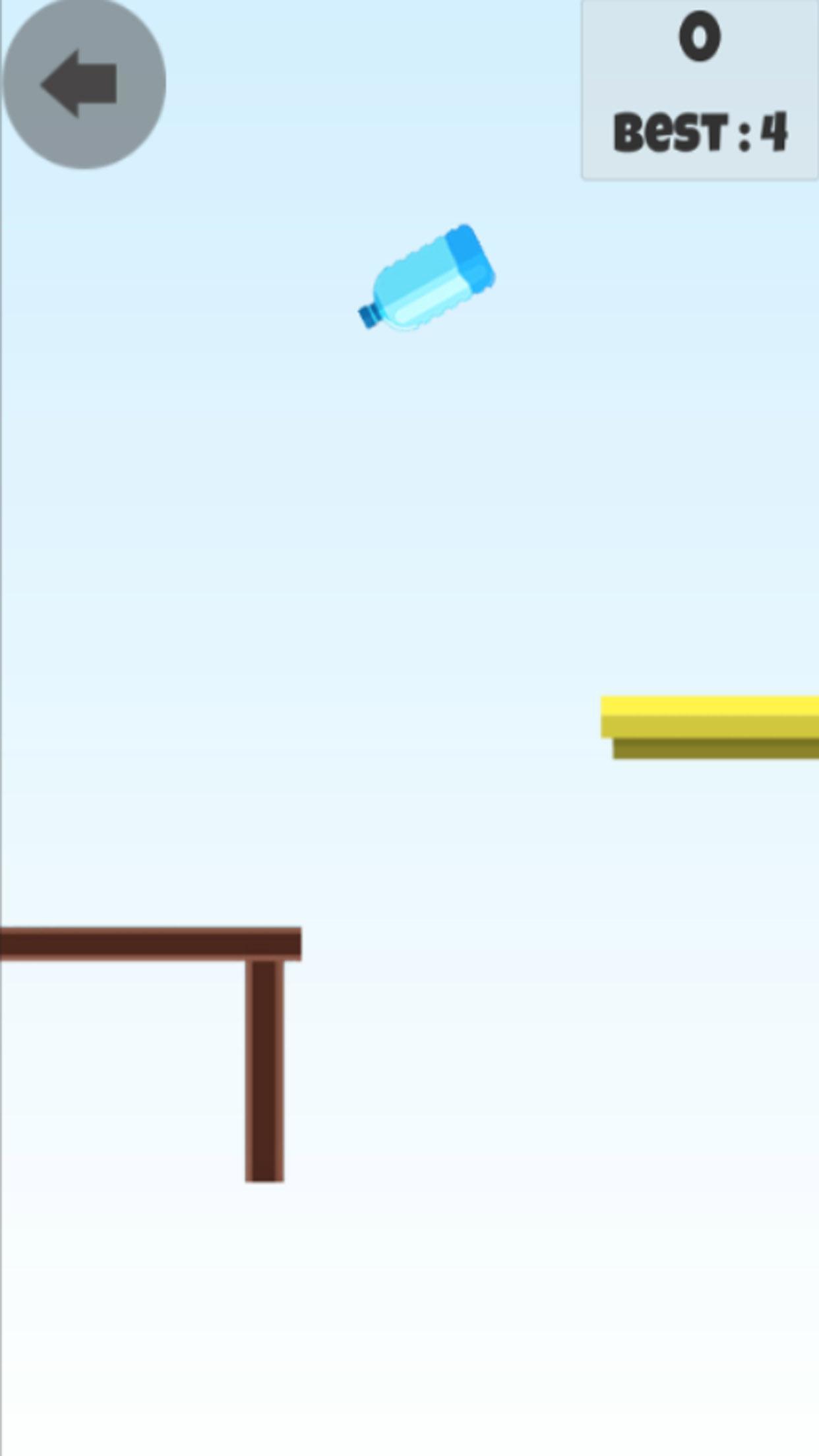 Drinking Bottle Flip Challenge Game Screenshot