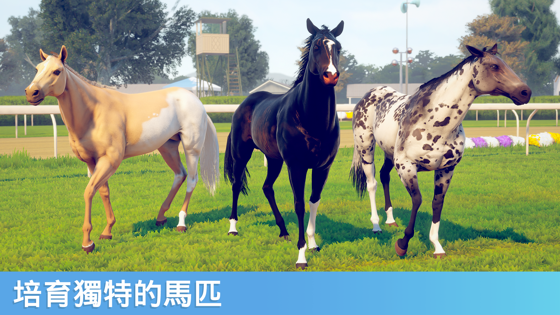 Screenshot 1 of 家族傳奇： 馬匹養成競技 1.43.1