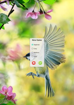 Sudoku Game Screenshot