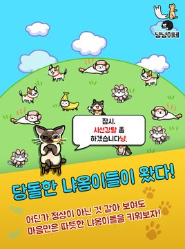 Cuplikan Layar Game 냥냥이네 - 고양이 키우기