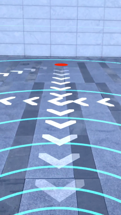 AR Runner Game Screenshot