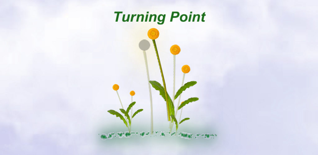 Turning Point screenshot