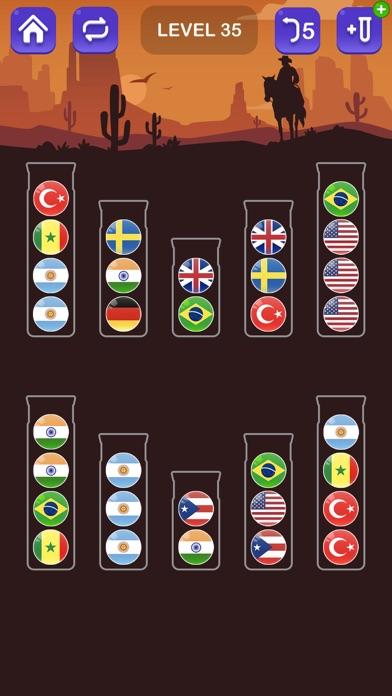 Ball Sort: Color Puzzle Master Game Screenshot
