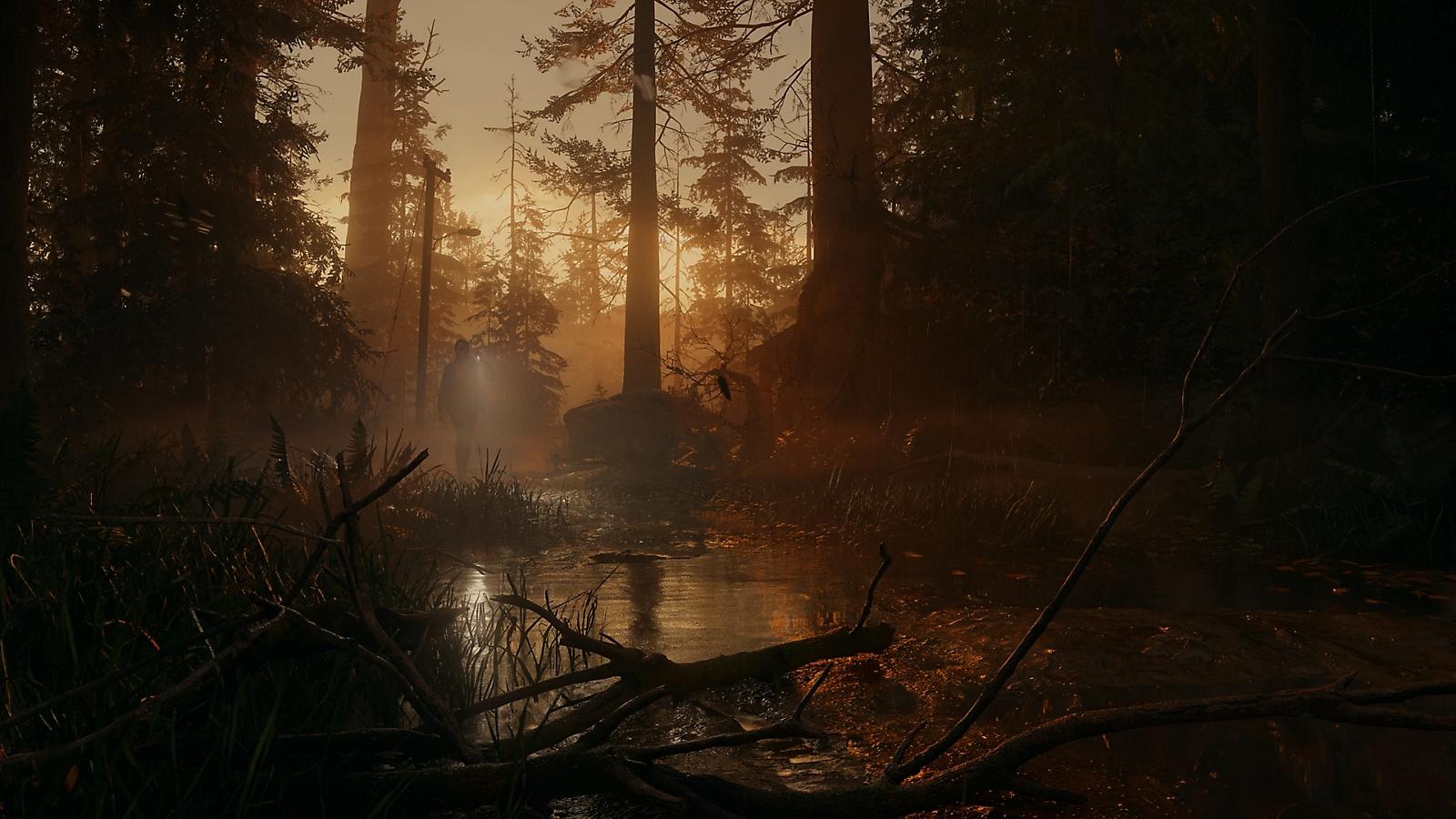 Alan Wake 2 Game Screenshot