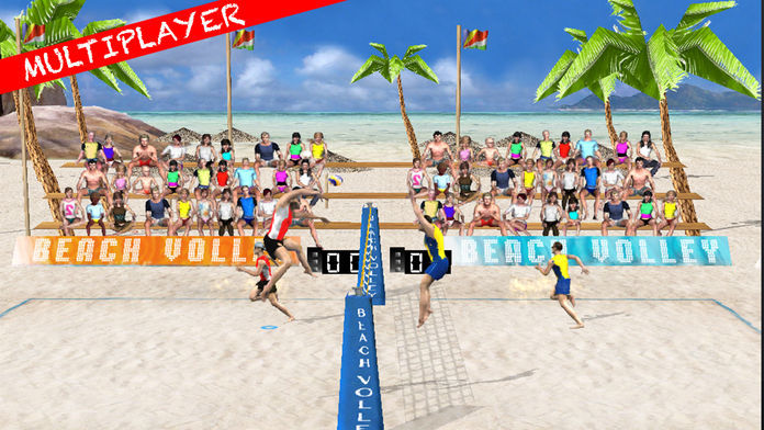 Beach Volley Pro screenshot game