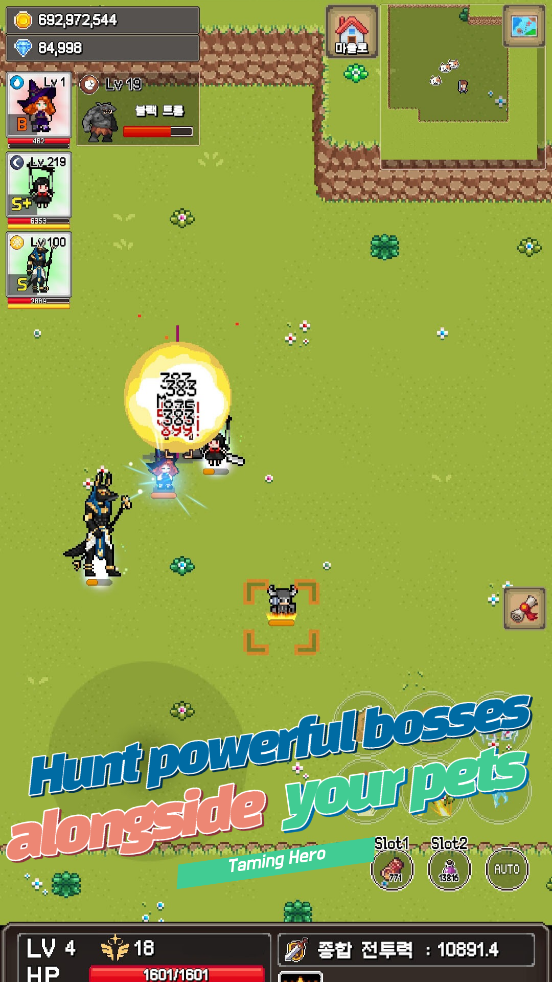 Taming Hero Game Screenshot