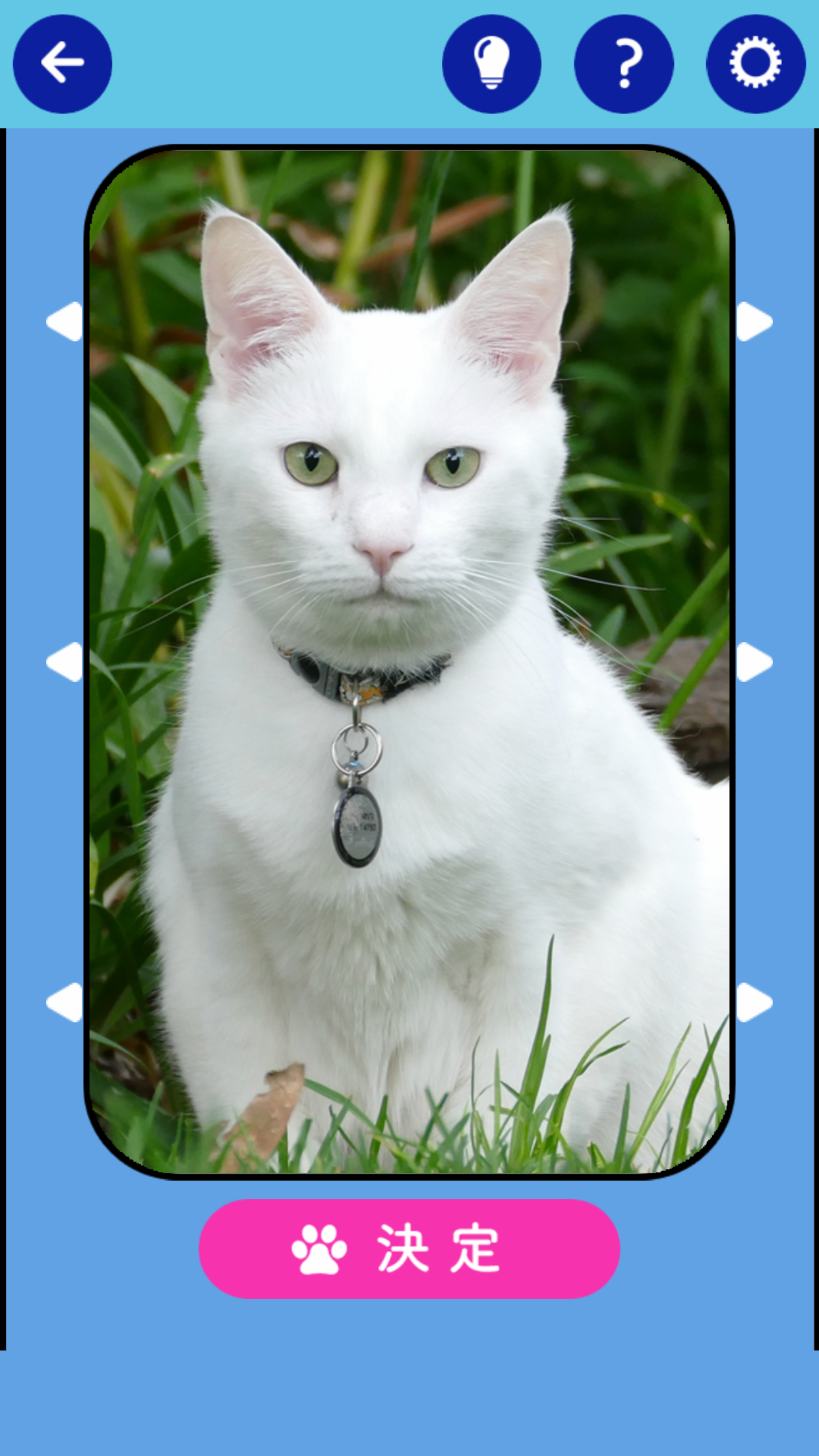 そろえて！にゃんにゃんクイズ Game Screenshot