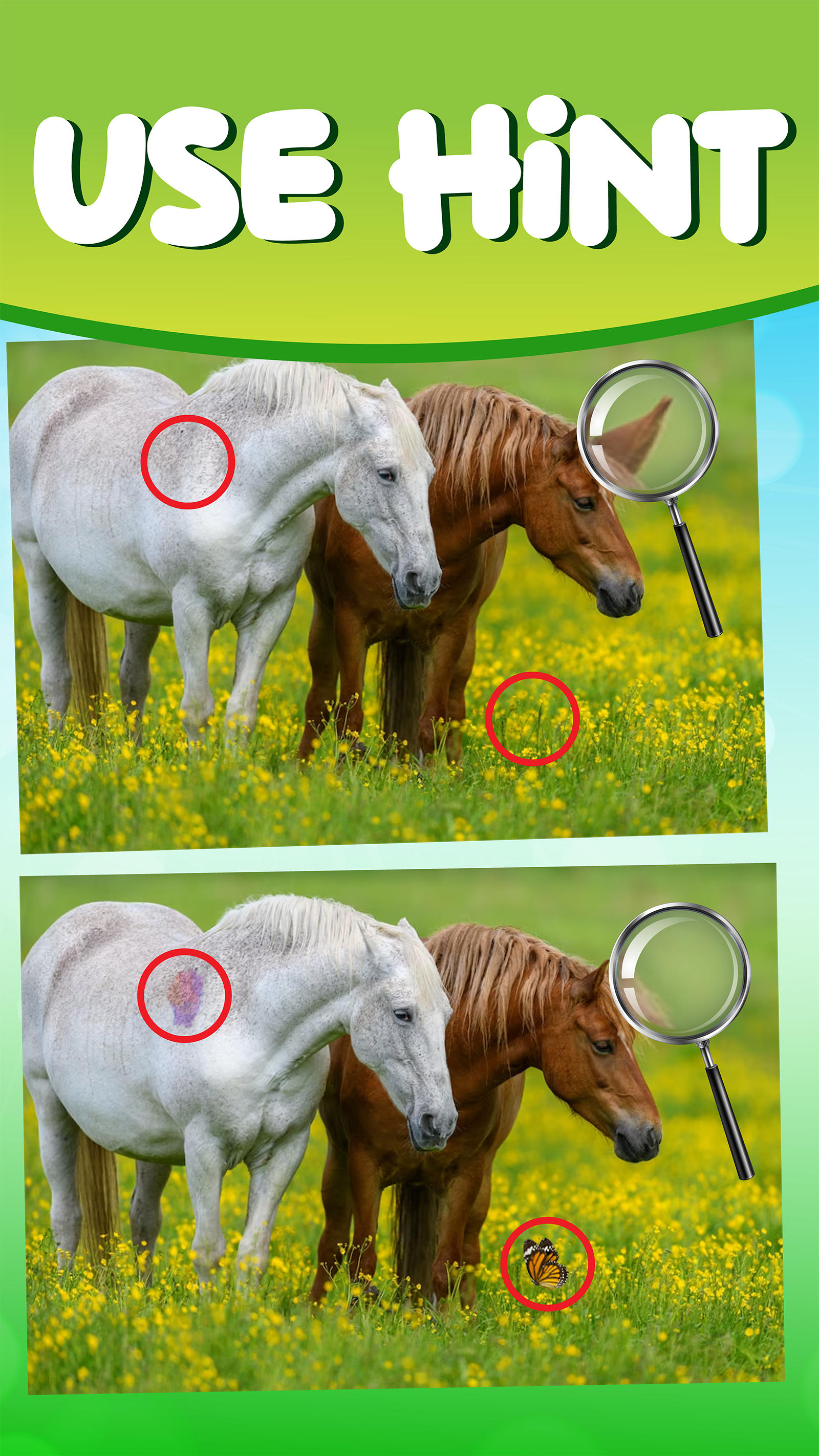 Spot the Differences : Find It Game Screenshot