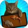 Game for Cats: Ant & Bug Smash 아이콘