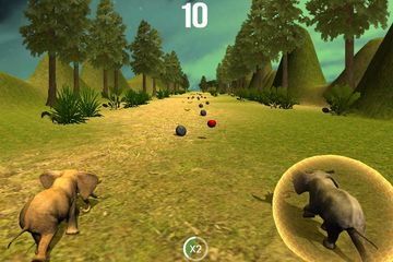 Safari Run - Fun Race Game Screenshot
