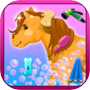 Horse Princess Wash & Cleanup