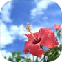 Icon of Escape from Okinawa