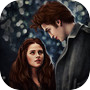 Twilight Jigsaw Puzzle