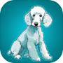 Icon of Bedlington Terrier Rescue