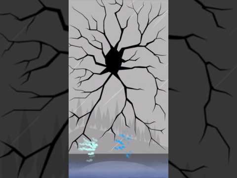 Screenshot of the video of The Same Wrold2
