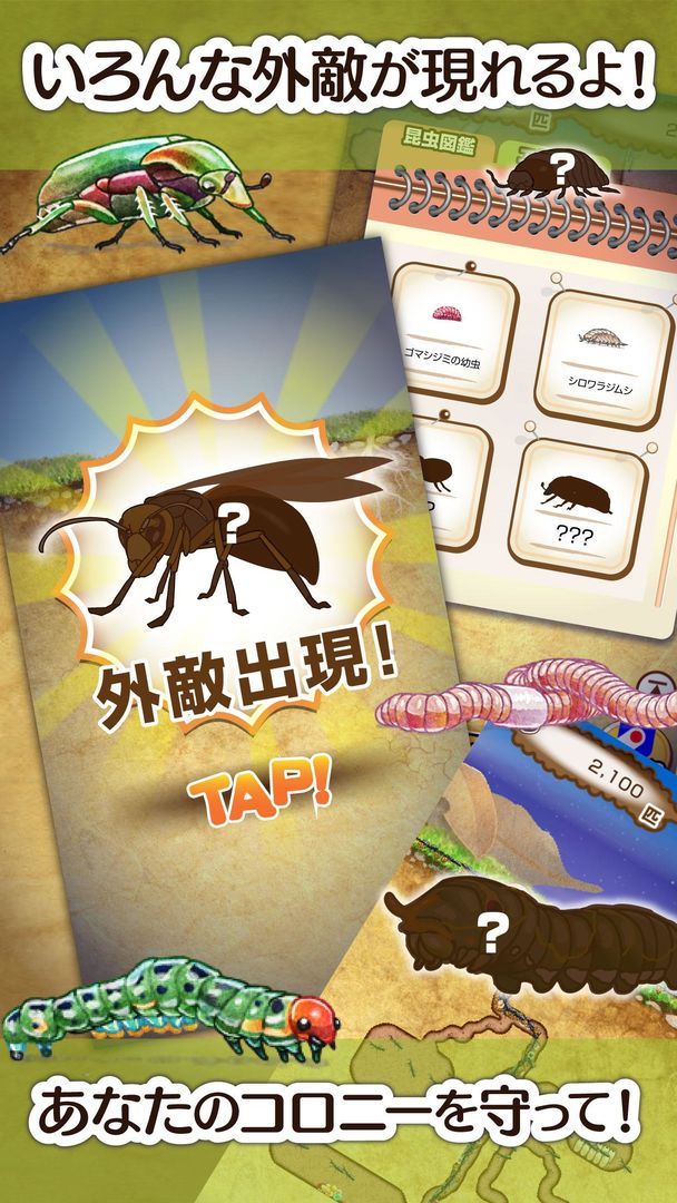 Screenshot of アリの巣コロニー 放置観察育成ゲーム