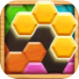 Icon of Wood Block Puzzle - Hexa