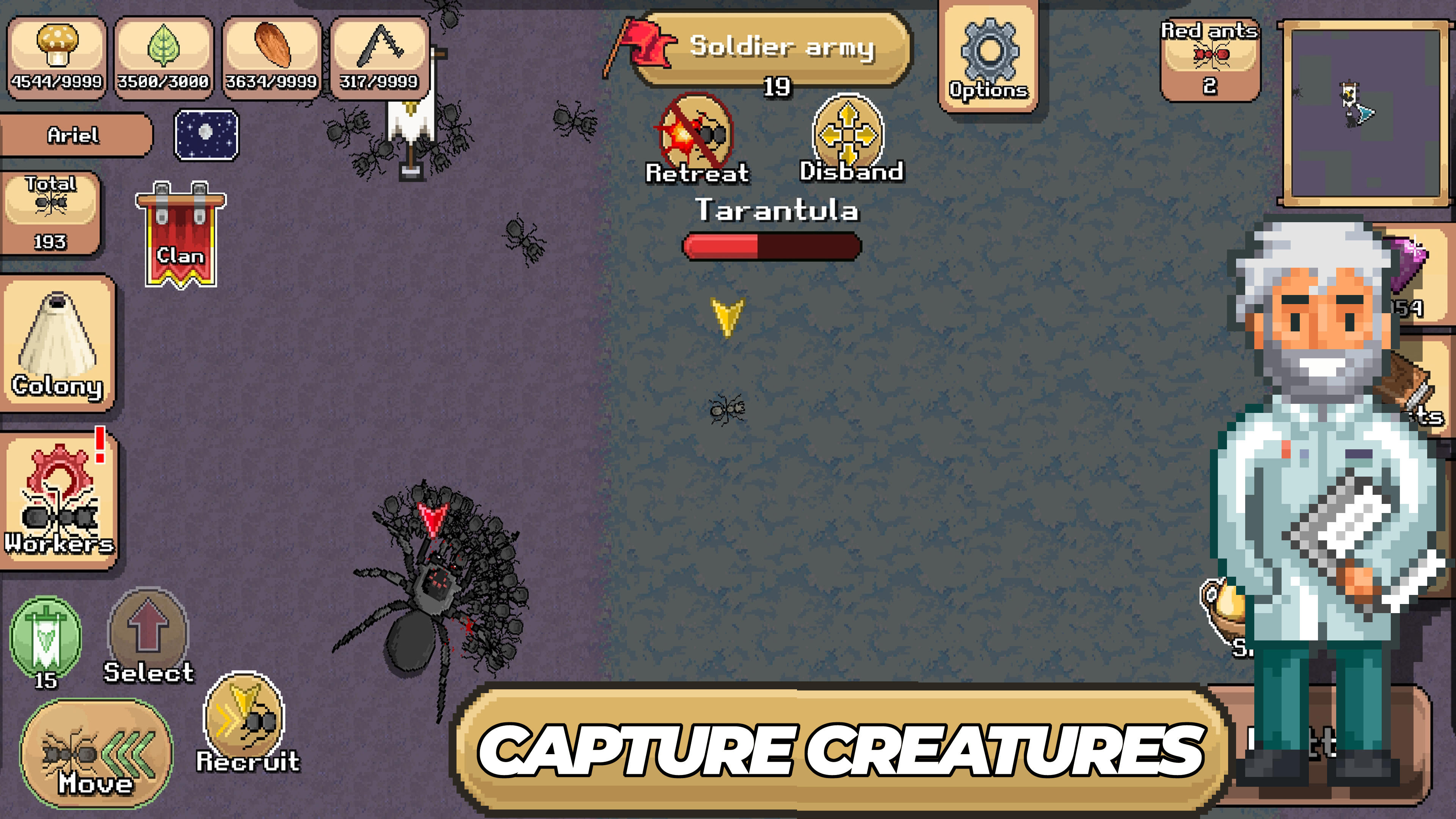 Pocket Ants: Colony Simulator Game Screenshot