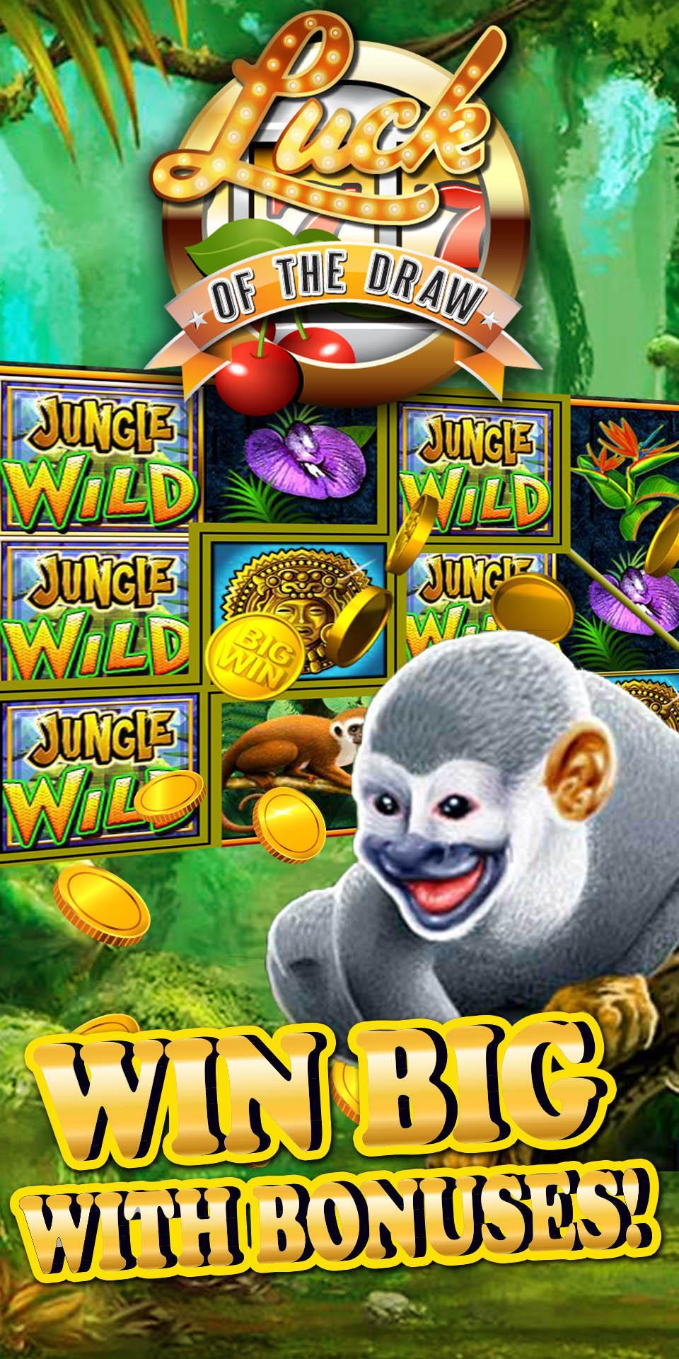 Luck of the Draw Game Screenshot