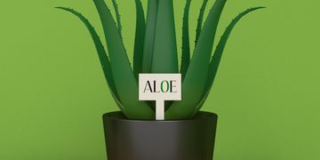 Room Escape Game - EXITs3 遊戲截圖