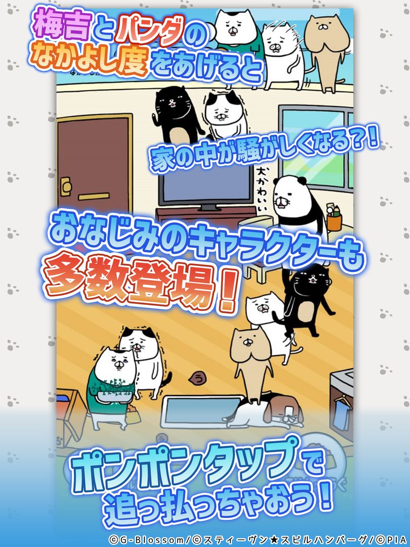 パンダと犬のワンダフルライフ 게임 스크린 샷