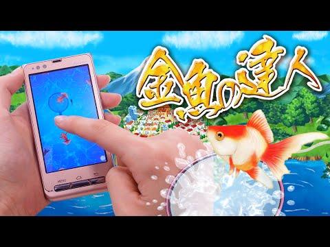 金魚の達人 暇つぶし無料金魚すくい釣りゲームrpg ดาวน โหลดเกม Taptap