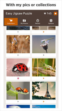 EasyJigsaw Game Screenshot