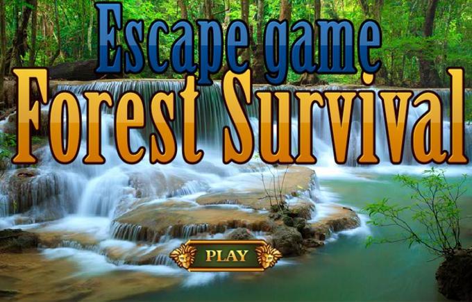 Escape Game Forest Survival 게임 스크린 샷
