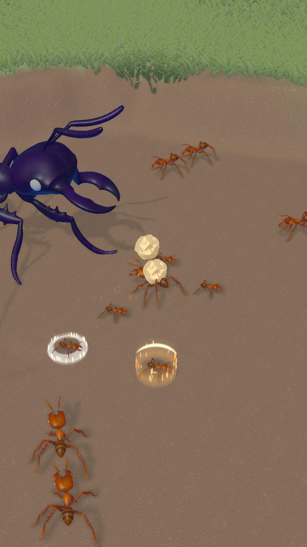 Ant Colony Adventure ภาพหน้าจอเกม