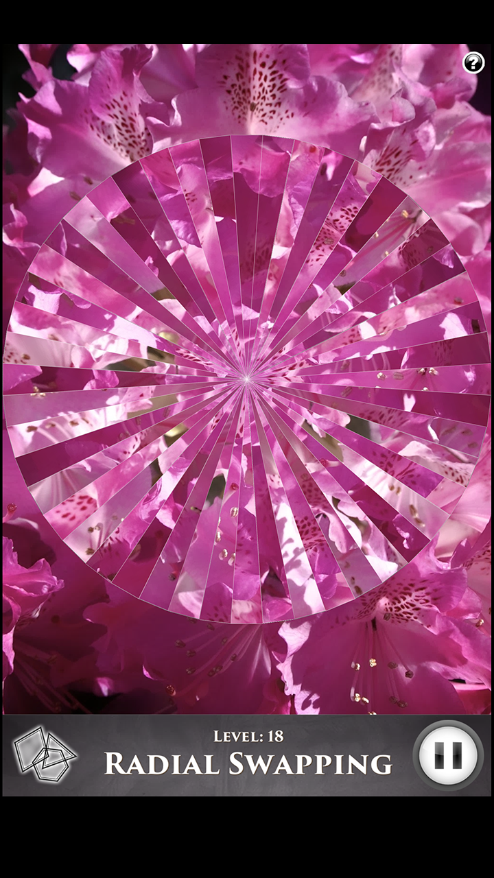 Скриншот игры Hidden Scenes First of Spring