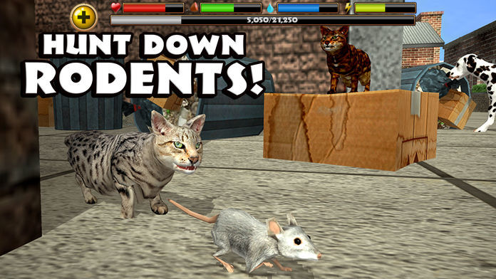 Stray Cat Simulator 게임 스크린 샷