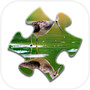 Reflection Jigsaw Puzzles