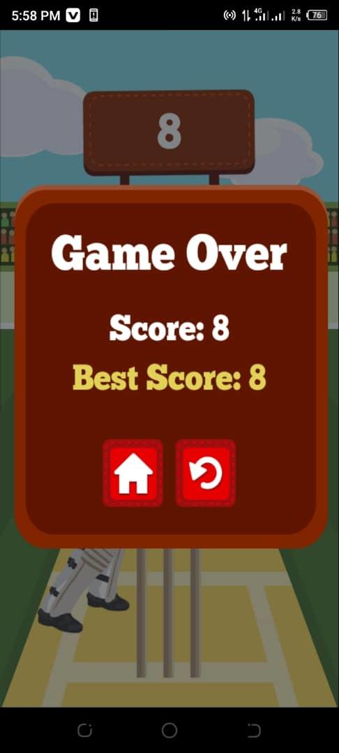 Pro Cricket Champion Game Screenshot