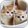 Jigsaw Puzzles - Rotate Puzzle