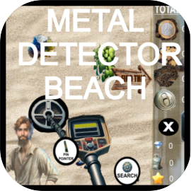 Metal detector beach