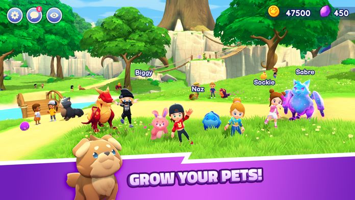 Screenshot of World of Pets - Multiplayer