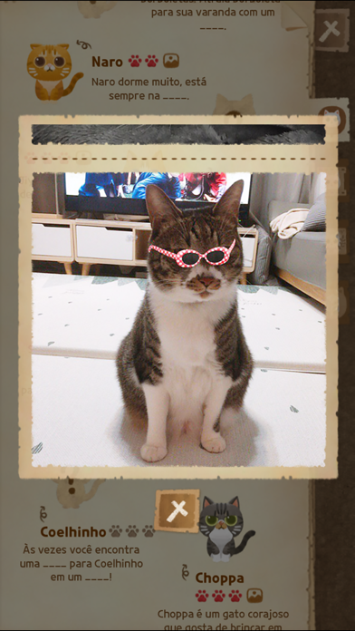 Captura de Tela do Jogo Secret Cat Forest