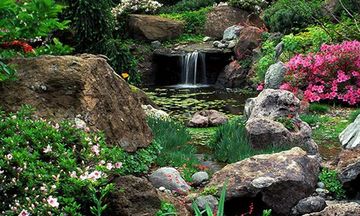 Hued Garden Escape Game Screenshot